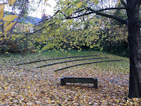 Photo by Sheila Webber autumn falling, November 2023